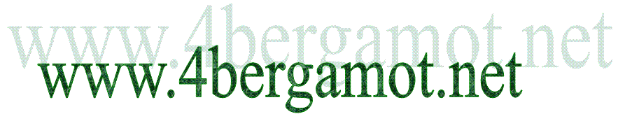 www.4bergamot.net
